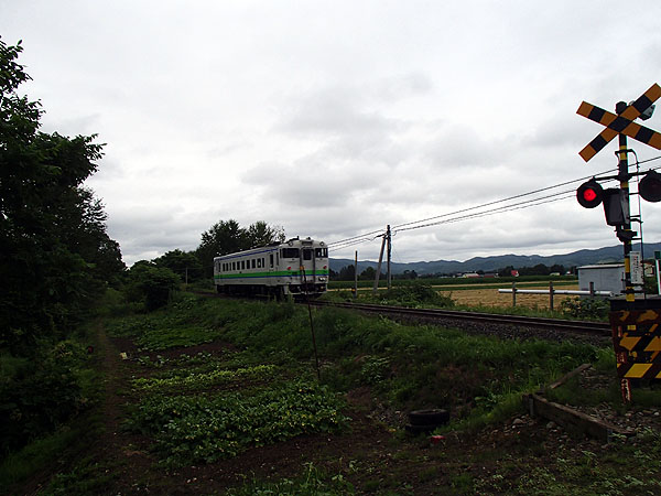 何処かの踏切で列車と遭遇
